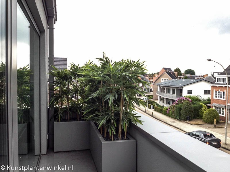 geel 1-